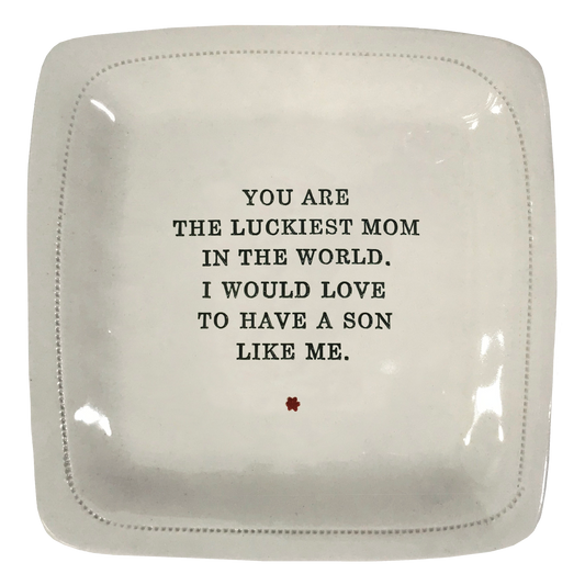 You Are The Luckiest Mom In The World. I Would Love To Have A Son Like Me.